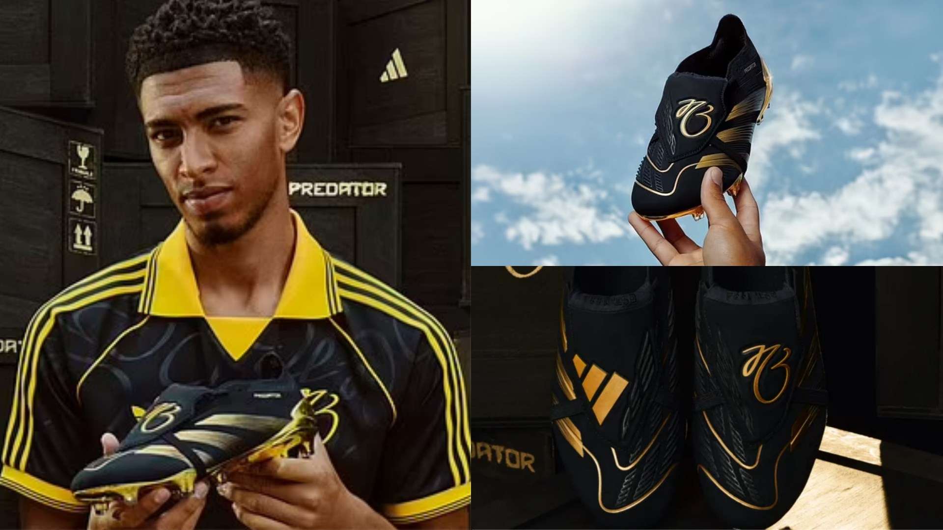 保了排名的 保了排名的